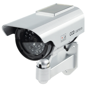 Ga naar Dummy Camera's
